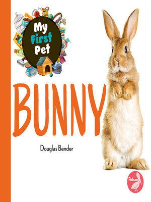 cover image of Bunny